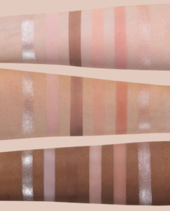 swan 6 color eyeshadow palette